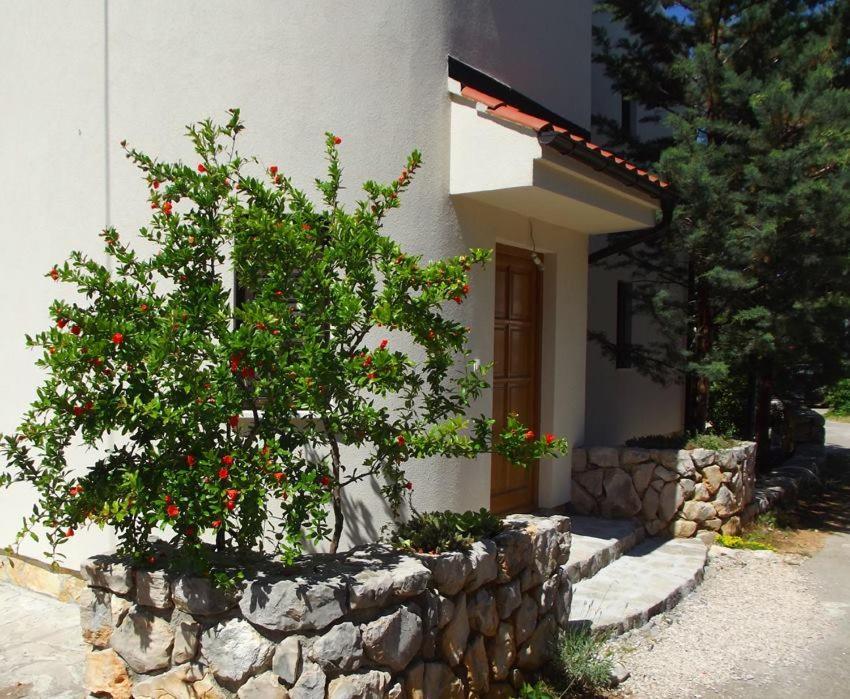 Apartmani Juliska ピロヴァッツ エクステリア 写真